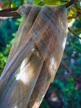 Iridescent Gold & Blue Sheer Decorative Fabric - Presepio / Altar / Canopy